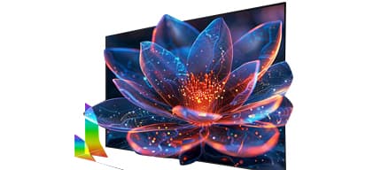 4K Ultra HD Display