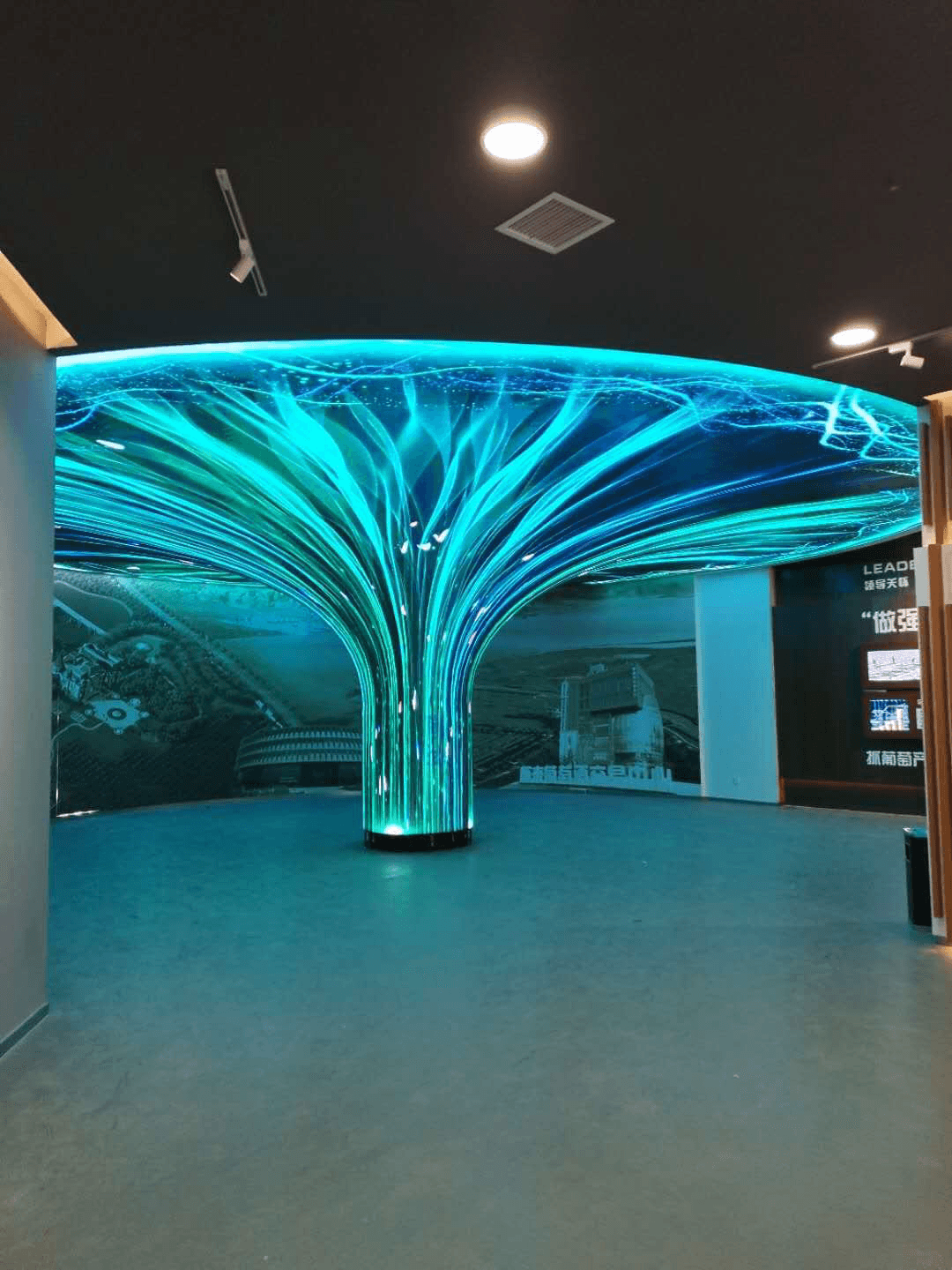 Tree Structure & Irregular LED Displays