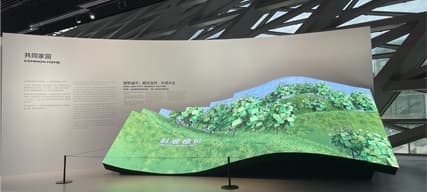 Flexible LED Displays