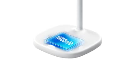 10000mAh Long-Lasting Battery